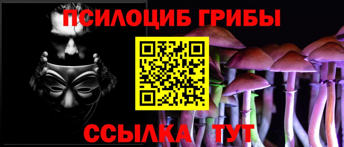 Северск  Псилоцибиновые грибы Cubensis  Вход с VPN  дарнет шоп  Псилоцибиновые грибы мухоморы 